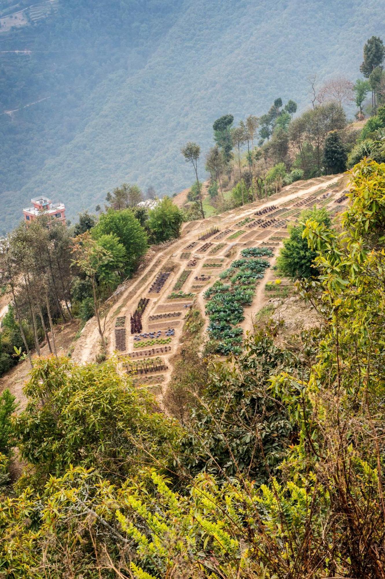 Dwarika'S Resort - Dhulikhel Wellbeing Escape In The Himalayas Luaran gambar